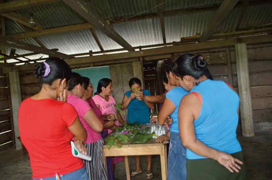 Taller de Herbolaria con mujeres de la comunidad Barrio San José, en el sur de Chiapas. Foto: fondeadora.mx