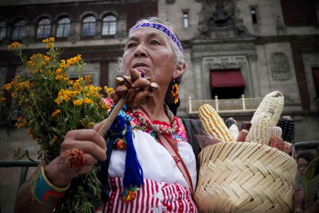 Protesta en la Ciudad de México contra el maíz transgénico. Foto: Alejandro Ayala
